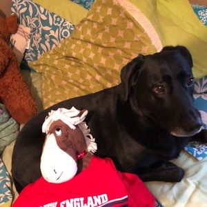 Meet your Posher, Danielle